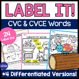 CVC & CVCE Labeling Pictures, Writing CVC Words with Pictu
