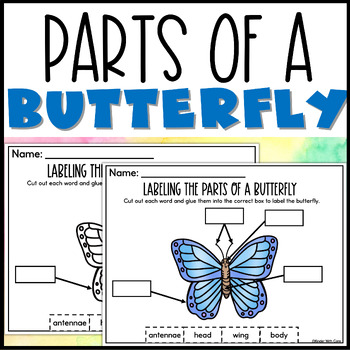 Labeling a Butterfly by Primary With Care | TPT