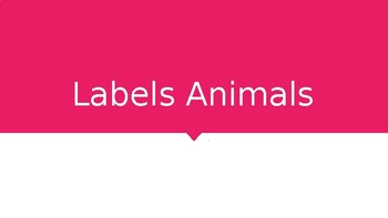 Preview of Labeling animals interactive PPT