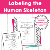 Labeling the Human Skeleton - Print and Digital Diagrams t