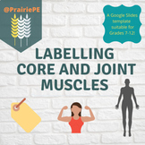 Labelling Core and Joint Muscles 