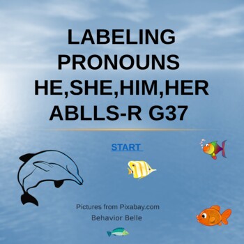 Preview of Labeling Pronouns HE/SHE/HIM/HER (ABLLS-R G37)