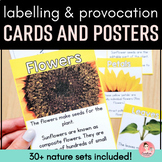 Labelling and Provocation Cards and Posters for Science (E