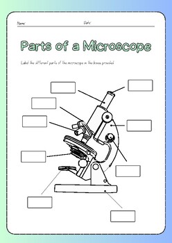 Labelling the Microscope! by Science Creations Shop | TPT