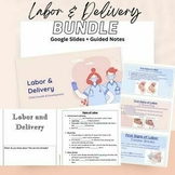 Labor & Delivery Bundle: Google slide + Guided Notes