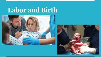 Preview of Labor and Birth Note Presentation