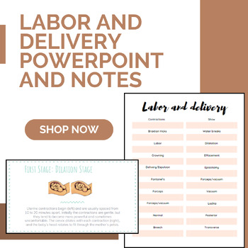 Preview of Labor and Delivery Notes and PowerPoint