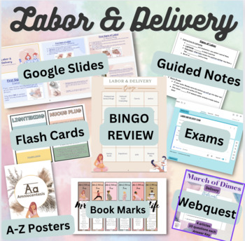 Preview of Labor and Delivery Unit Bundle: Slides, notes, test, flash cards, BINGO +MORE