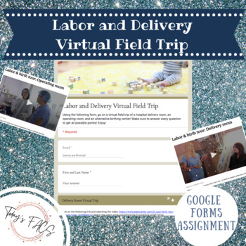 Preview of Labor and Delivery Virtual Field Trip - E-Learning Assignment