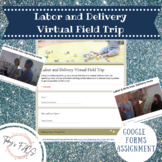 Labor and Delivery Virtual Field Trip - E-Learning Assignment