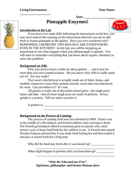 Preview of Laboratory activity- Enzymes in Pineapple and their effects on Jello