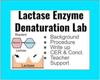 denatured enzyme diagram