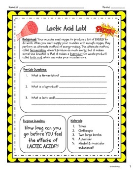 Preview of Lactic Acid Fermentation Lab