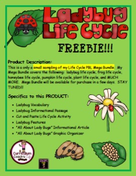 Preview of Lady Bug Life Cycle FREEBIE:  This is part of Life Cycle MEGA BUNDLE