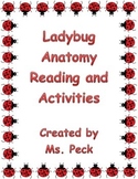 Lady bug anatomy reading