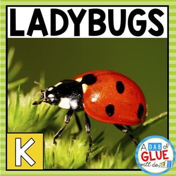 Preview of Ladybug Unit: Ladybug Life Cycle, Research Craft, & Activities | Spring Science