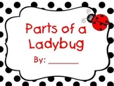 Ladybug Parts