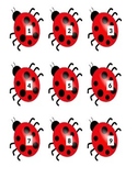 Ladybug Book Box Numbers