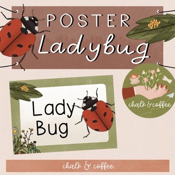 Preview of Ladybug Classroom Poster - Science Classroom Decor - Insects Ladybug Wall Art