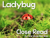 Ladybug Close Read