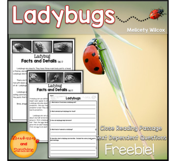 Preview of Ladybug Close Reading Passage Freebie!