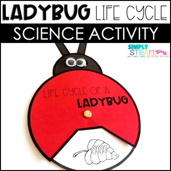 Preview of Ladybug Craft