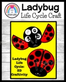 Ladybug Craft Life Cycle Activity - Kindergarten Spring Sc