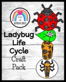 Ladybug Craft Life Cycle Activity - Spring Science - Kinde