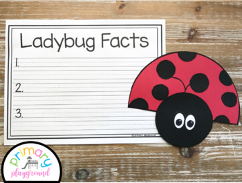 Ladybugs In The Classroom - Primary Playground