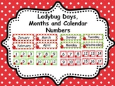 Ladybug Days, Months and Calendar