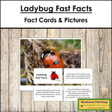 Ladybug Fast Facts - Montessori Zoology Cards & Pictures