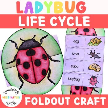 Preview of Ladybug Foldout Life Cycle Craft