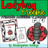 Ladybug Printable Literacy Activities and Emergent Readers