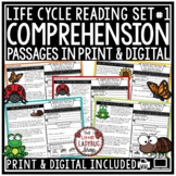 Life Cycle of a Butterfly Frog Reading Comprehension Passa