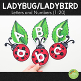 Ladybug/Ladybird Letter and Number Cards