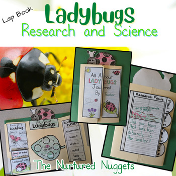 Preview of Ladybug Lap Book (Research and Science Unit)