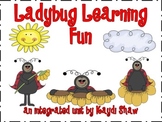 Ladybug Learning Fun