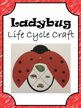 Preview of Ladybug Life Cycle Craft