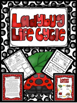 Preview of Ladybug Life Cycle