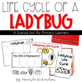 Ladybug Life Cycle, Life Cycle of a Ladybug