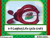 Ladybug Life Cycle: {3D Life Cycle of a Ladybug Science Cr