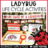 Life Cycle of a Ladybug Activities, Craft Wheel, Worksheet