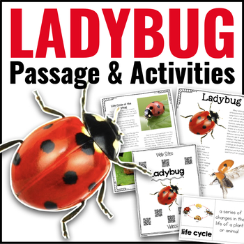 Preview of Ladybug Life Cycle, Animal Research Nonfiction Reading Passage & Comprehension