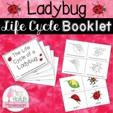 Ladybug Life Cycle Booklet Montessori Inspired