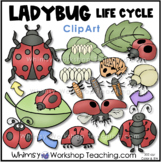 Ladybug Life Cycle Clip Art Whimsy Workshop Teaching