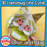 Ladybug Life Cycle Craft | 3D Diorama Craft Activity