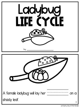 Life Cycle Of A Ladybug Craft Book Amp Printables Tpt