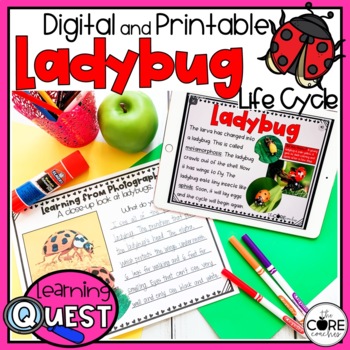 Preview of Ladybug Life Cycle Independent Work - All About Ladybugs Activities