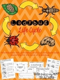 Ladybug Life Cycle {Informational Text, Printables, Cut & 