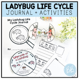 Ladybug Life Cycle Observation Journal | Ladybug Craft + A